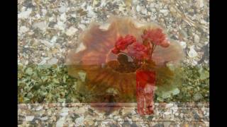 Bob Geldof - The Happy Club