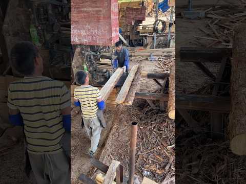 Working to get married - sawing timber