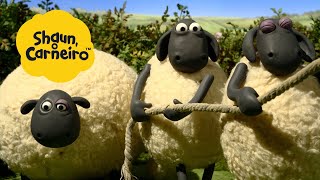 Download lagu Momentos Divertidos! | 🐑Shaun, o Carneiro [Shaun the Sheep] 🐑 Hora Especial🐑| Cartoons Para Crianças mp3