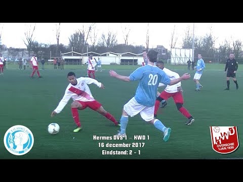 Samenvatting Hermes DVS 1 -  HWD 1