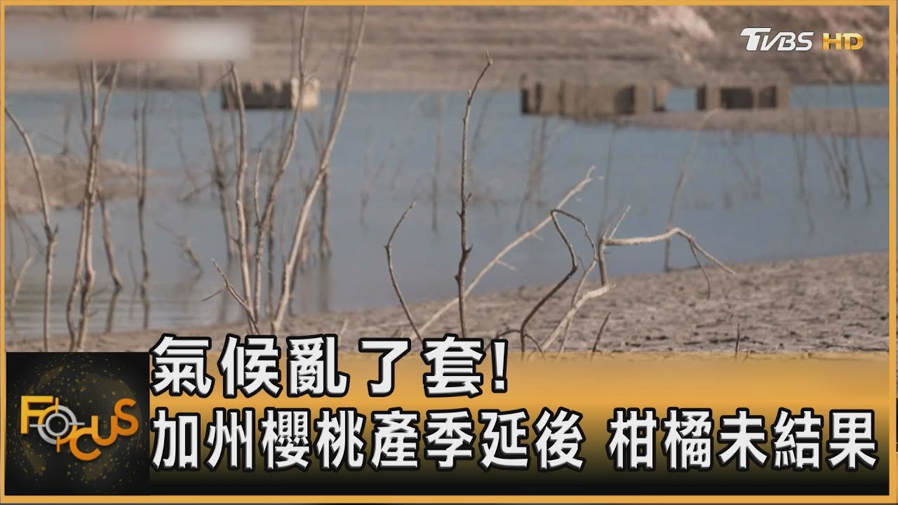 氣候亂了套!加州櫻桃產季延後 柑橘未結果