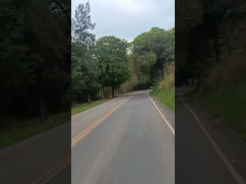 chegando em  Faria Lemos MG. #musica #natureza # #paisagemnatural