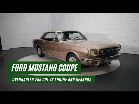 1966 Ford Mustang (CC-1647091) for sale in Waalwijk, Noord-Brabant