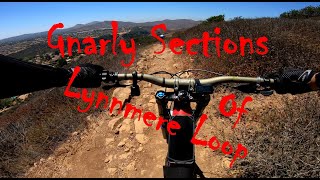 Lynnmere Loop (CW) - Lynnmere West.