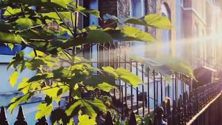 Fading - Vallis Alps