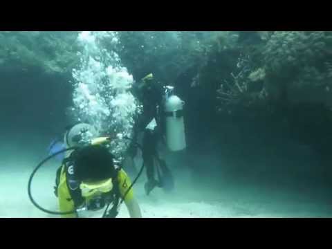 Key Largo Scuba Diving: French Reef, Christmas Tree Caves