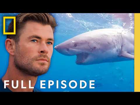 Shark Beach with Chris Hemsworth (Full Episode) | SPECIAL | National Geographic