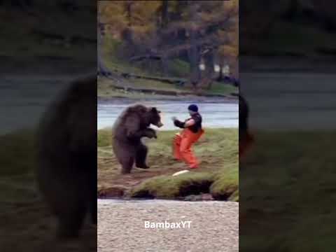 Kung-Fu bear gets in a fight with human //  #shorts #short #memes