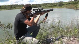 Video: Hatsan BT65 SB QE 6.35mm PCP 10J