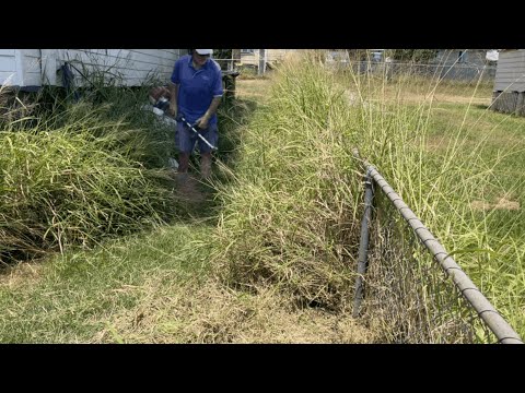 This TRANSFORMATION left her in TEARS: "That looks amazing... wow"