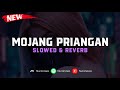 DJ Mojang Priangan ( Slowed & Reverb ) 🎧