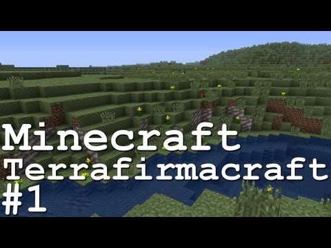 Minecraft Terrafirmacraft #1