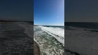 Download lagu Sunny Santa Monica Beach #travel #santamonica #pacificocean #losangeles mp3 Download lagu Sunny Santa Monica Beach #travel #santamonica #pacificocean #losangeles mp3