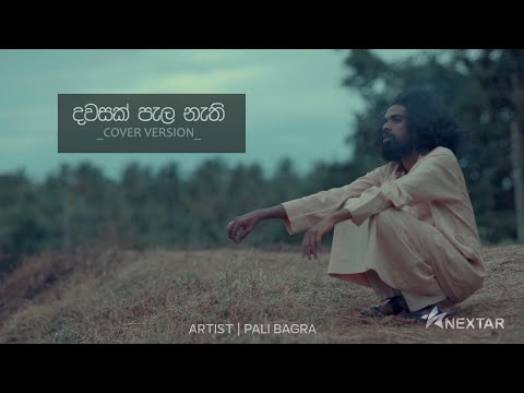 Dawasak Pala Nathi Hene  | COVER VERSION | PALI BAGRA | දවසක් පැල නැති හේනේ