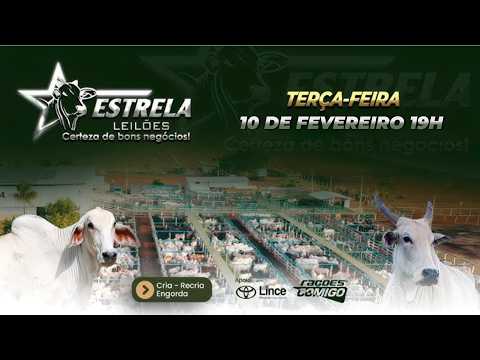 ESTRELA LEILÕES  - AO VIVO - 10/03/2026  -  19H - Morrinhos  - Goiás
