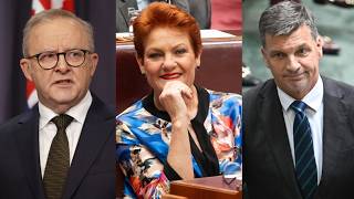 ‘Tweedle dee and Tweedle dumber’: The rise of One Nation looks to oust traditional parties