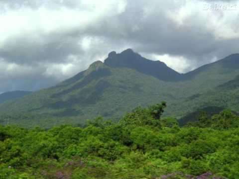 Terra Tombada - Chitãozinho & Xororó