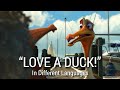 LOVE A DUCK In Different Languages Finding Nemo 2003