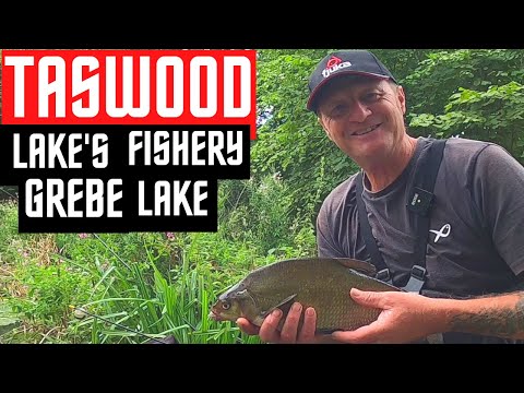 Bream on A Pole, skimmers,  #jamesatkinsfishing #fjukabait  #vidiq