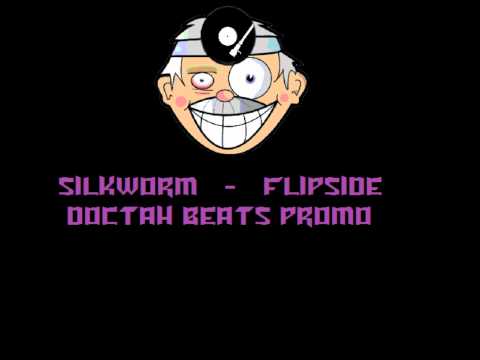 Silkworm-Flipside