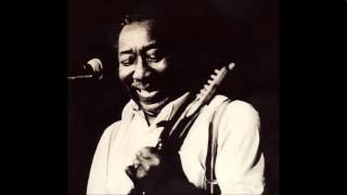 Muddy Waters - I Am The Blues