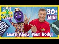 Learn About Your Body Wiggle And Learn Educational Video For Toddlers With The Wiggles