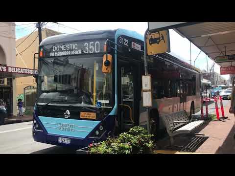 Sydney (Custom denning on route 350)