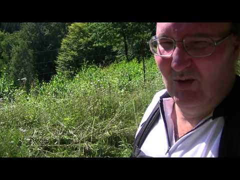 MongoTV_558 - Del 15 - Sensommer Gåtur Frederiksdal Storskov Torsdag 20.August 2015