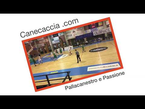 NP GORDON OLGINATE - BAKET LUGO