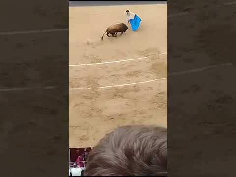 No Limits  - The Audrey Mestre Documentary