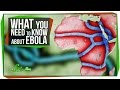 What You Need to Know About EBOLA - YouTube