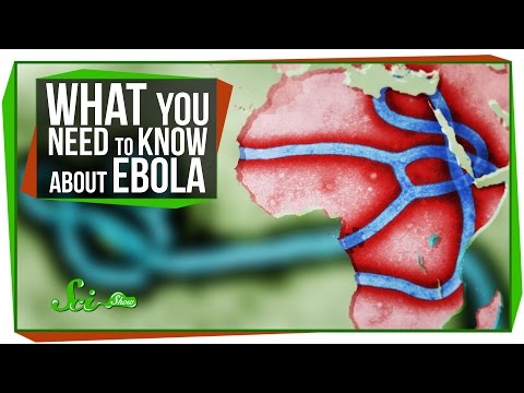 關於埃博拉，你需要知道什麼？ (What You Need to Know About Ebola)
