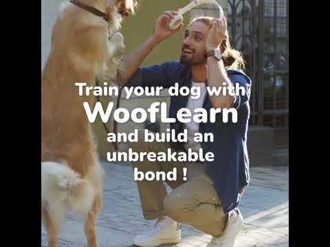 WoofLearn: Dog Training & Care