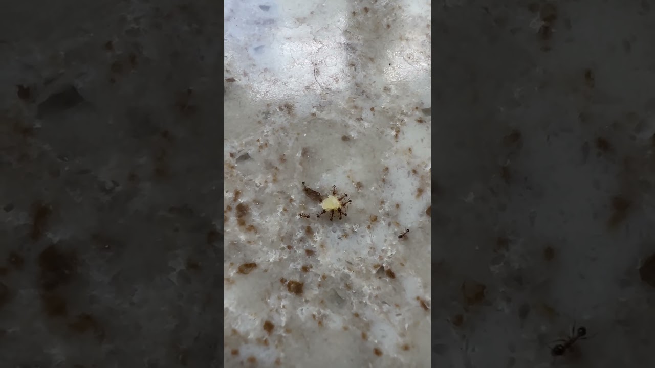 This is Teamwork 💯