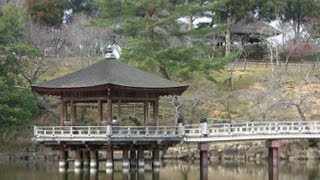 preview picture of video '奈良 3月 鷺池・浮見堂 Ukimido in Sagi-ike Pond, Nara(2012-03)'