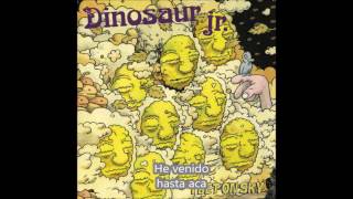 Dinosaur Jr. - Stick a Toe in (Sub. español)
