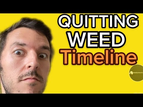 Quitting Weed Timeline (What To Expect)