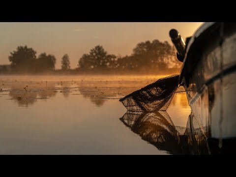 SBS Carp Fishing Vlog #8 - Háromfai szösszenet / Return to the Green Hell