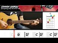 Everything I Do - Bryan Adams | GUITAR LESSON | Common Chords