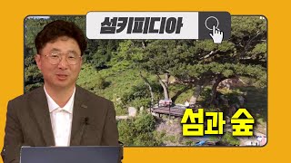 '섬키피디아 [섬과 숲] 정태균 / 전라남도 섬해양정책과 섬가꾸기 전문위원 | 어바웃 우리동네 (2025.6.4.)' 동영상 배경 썸네일