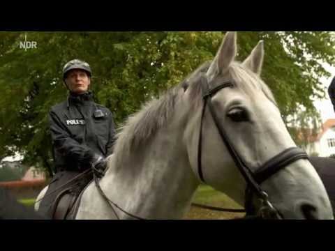 Die Nordreportage - Streife auf vier Hufen HD