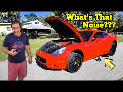 I Bought a Cheap Wholesale Ferrari and it came with a Strange Noise...
