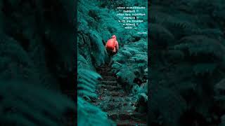 Download lagu ennai kaanavillaiye netrodu song whatsApp status 💙💙💙 mp3 Download lagu ennai kaanavillaiye netrodu song whatsApp status 💙💙💙 mp3