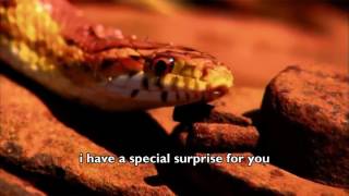 Submitted by cassidyj479f33b7e