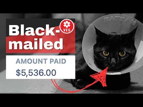 Venture Capital: "Pay Up or Your Cat Dies"