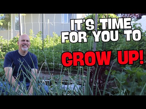 5 Simple and Inexpensive Garden Trellises