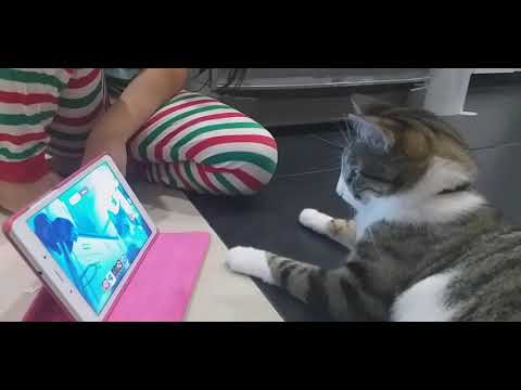 #elsagatuber se sorprende consu imagen en la #tablet