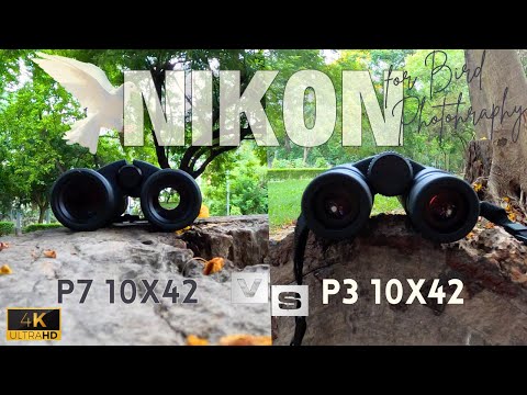 Nikon Prostaff P3 10X42 Vs. P7 10x42 | Bird Photography - Side by side Comparison