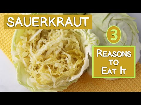 download lagu mp3 mp4 Sauerkraut And, download lagu Sauerkraut And gratis, unduh video klip Sauerkraut And