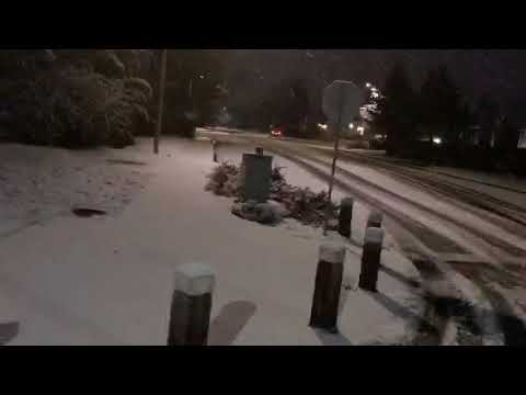 Mark Horner   Snowing in Snohomish, WA  #pnw #wawx #weather #snow  Rotated225414